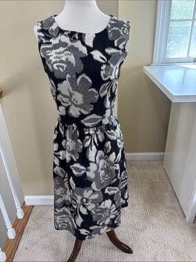 Tabitha Metallic Black Floral Sleeveless Fit-and-Flare Dress Size 10 EUC